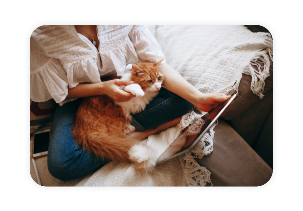 a woman is cradled up with her cat and reads from a tablet